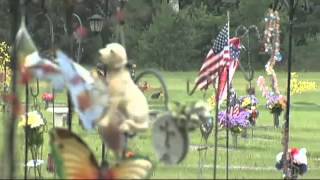 Vidor cemetery stands by rules