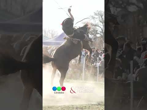 Jineteadas en la Fiesta Gaucha 2026 #MonteCristo 🇦🇷  #CaballosyPlaceres