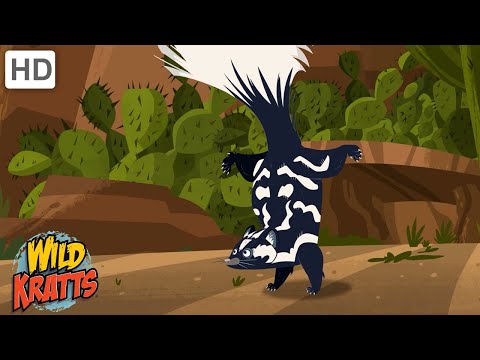 Amazing Adaptations Part 10 | How Animals Survive in the Wild | Wild Kratts
