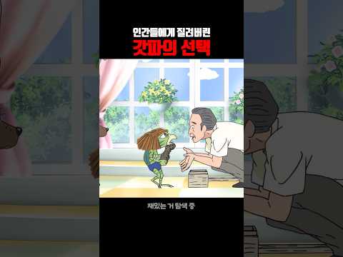 인간들에게 질려버린 갓파의 선택