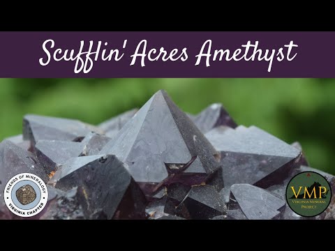 Amethyst in Virginia! Scufflin' Acres Farm