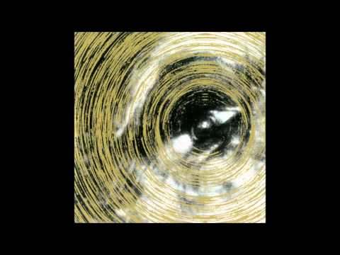 EXAMINATION OF THE      Kicking a Dead Horse Aside