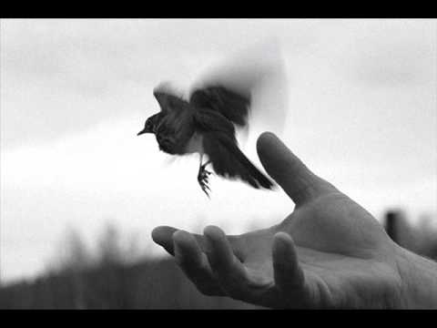 Hyusisi Txerq - AZATUTYUN