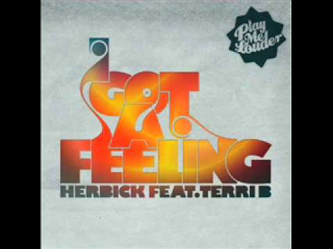 Herbick feat. Terri B! - I got a feeling (Niels van Gogh Edit)