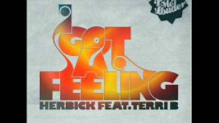 Herbick feat. Terri B! - I got a feeling (Niels van Gogh Edit)