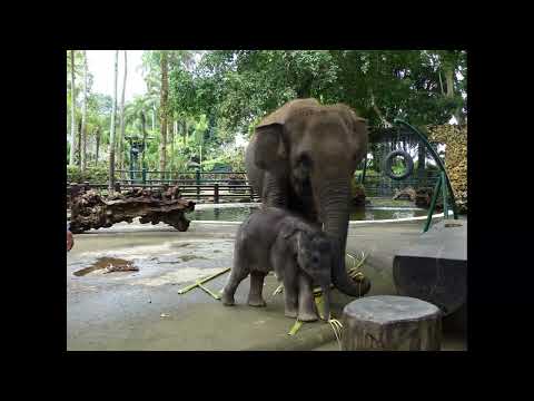 Best minimal techno mix - ANOTR, Chris Stussy, DJOKO, TOMAN