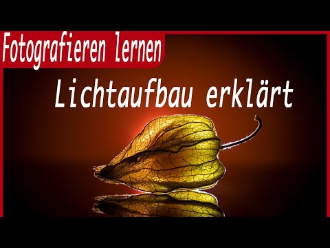 Fotografieren lernen,  Behind The Scenes, Focus Stacking mit Helicon Focus, Deutsch