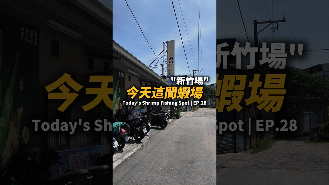 今天這間蝦場EP.28【MLS蝦戰天下】#17shrimp #台湾のエビ釣り #shrimpfishing #새우낚시