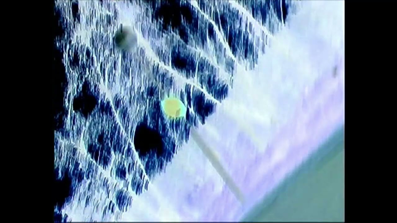 Trees in Reverse (Outtakes from Medea)