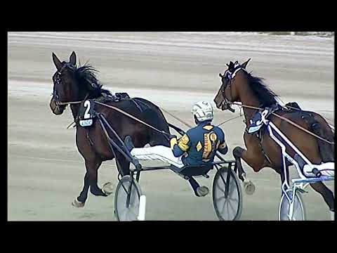 Napoli Trotto 28/01/2022 - 4ª corsa