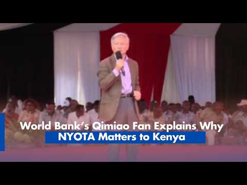 Qimiao Fan  NYOTA Can Address Kenya’s Biggest Development Gaps