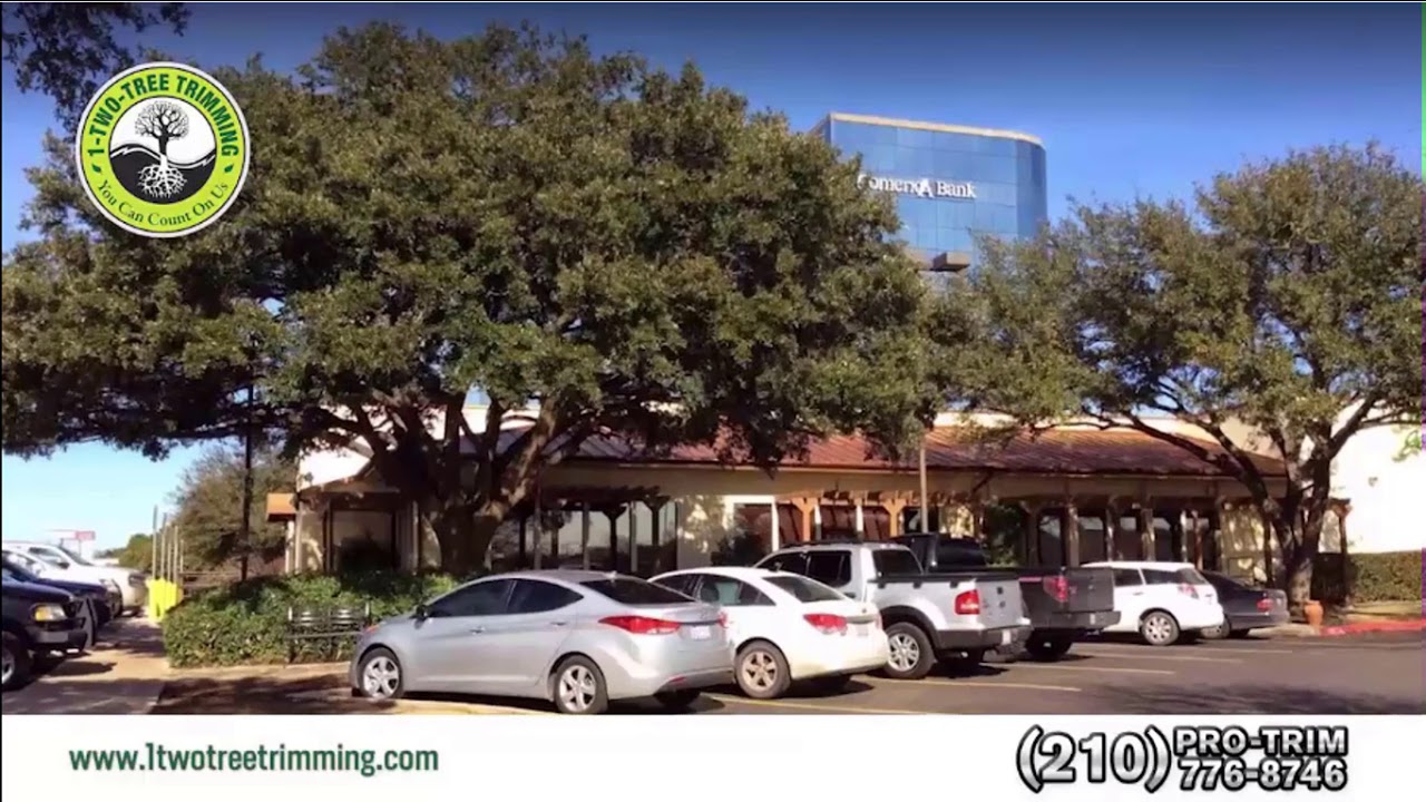 Veteran Owned Tree Trimming  Company San Antonio