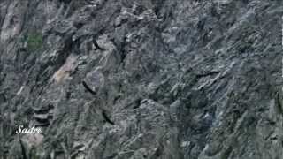 Thyrfing - Over The Hills And Far Away HD (Cover of Gary Moore)