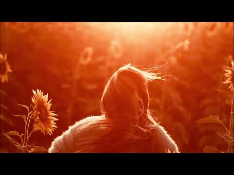 Summer Never Ends 272 Progressive House Mix The Breathe it all in Edition