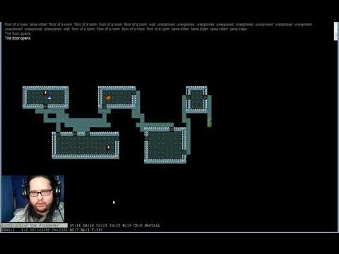 29 days of Roguelikes - Day 9 - Nethack