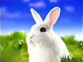 RTL Idents Ostern 2000