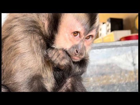 Missing Blarg and Beating Elden Ring