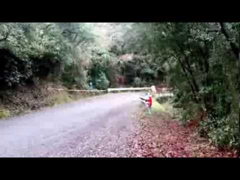 Rally Liburna asfalto 2014