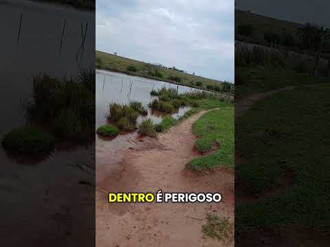 #scoobydoo #fypシ゚viral OLHA SÓ GALERA REPRESA EM GUAPOREMA PARANÁ