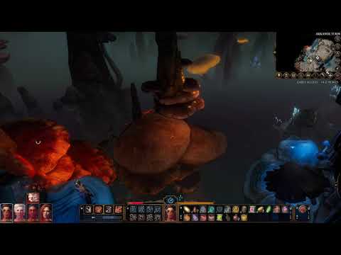 BaldursGate 3 - Druide Teil 76 - der kaputte Aufzug