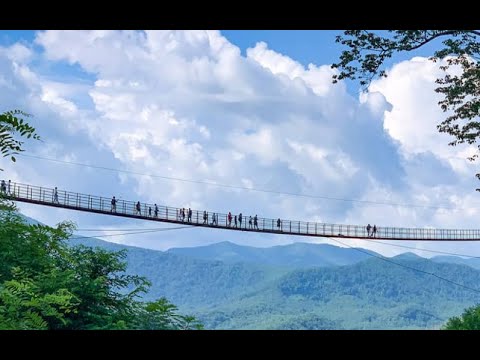 Gatlinburg SkyPark Home of the Record Setting SkyBridge