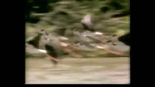 Download lagu #BALIKLA // SERUNTING JAYA // #LAGUSEMENDE mp3