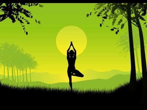 Meditation Music, Yoga Music, Zen, Yoga Workout, Sleep, Relaxing Music, Healing, Study, Yoga, ☯2176