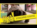 HEA! Schildpad Stoffel