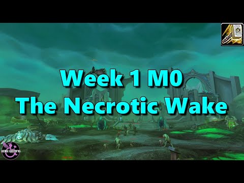 Shadowlands Week 1 Retribution Paladin POV - M0 The Necrotic Wake
