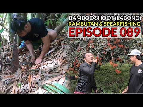 LABONG (Bamboo Shoot) Rambutan at Pamamana | San Pablo City, Laguna