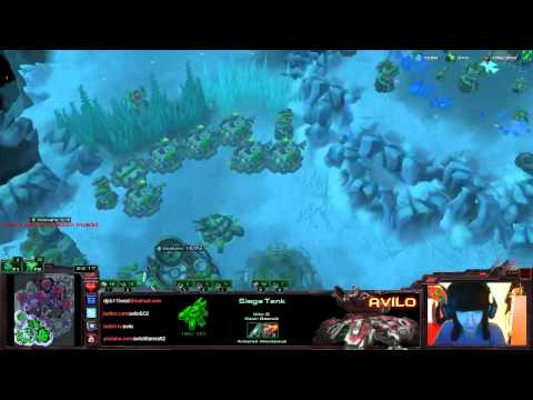 Avilo's Impersonation of Zergs on Ladder