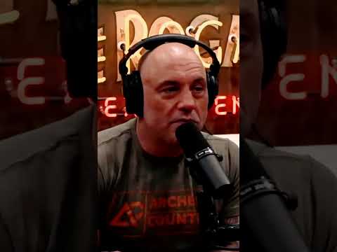 Unreal Arctic Adventure: Chasing Ice and Defying the Cold!