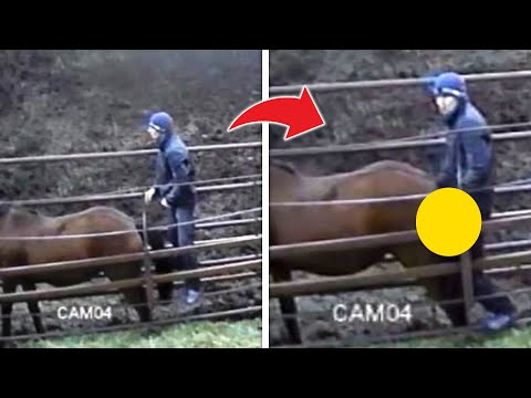 20 schockierende Momente vor laufender Kamera