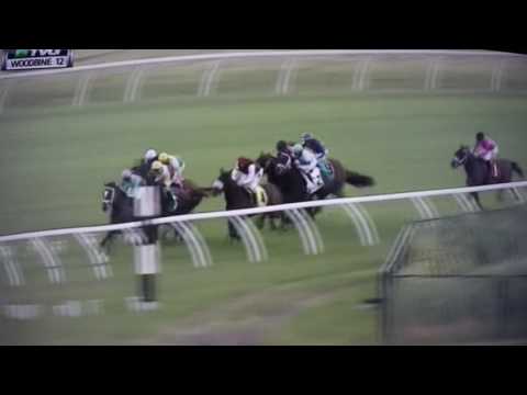 CHARLIE BARLEY (G STAKES) $100,000 2017 - YORKTON !!!