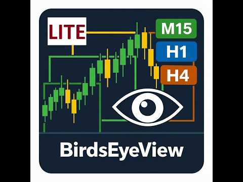 Video BirdsEyeView SingleTF