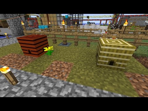 S08E22 Skyblock - Starting Bees! and Magic! Start all the things!