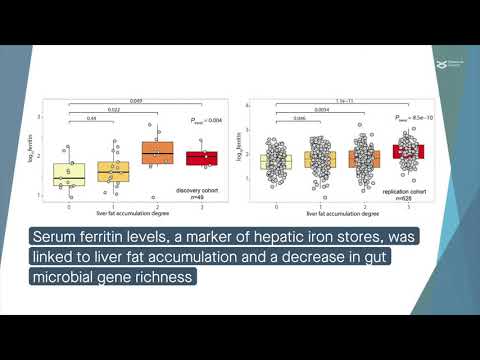 Irons status affects non alcoholic fatty liver disease through the gut microbiome