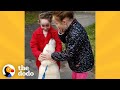 Mom Secretly Adopts A Shelter Dog Her Daughters Fell In Love With The Dodo