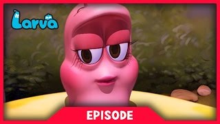 LARVA - INTERNATIONAL WOMENS DAY SPECIAL| Cartoon Movie | Cartoons For Children | LARVA Official