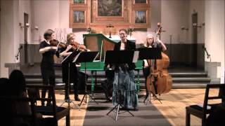 Nicola Fiorenza, Concerto in a minor