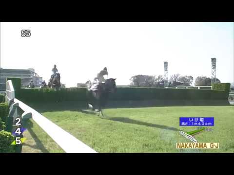 2019.04.13 Nakayama Grand Jump (JPN) - Oju Chosan