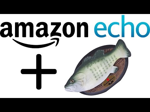 The Fish From The Amazon (Echo)