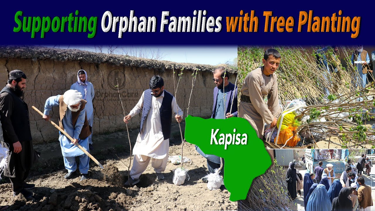 🌱 Supporting Orphan Families with Tree Planting 🌱