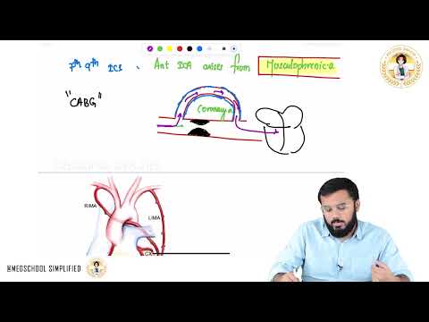 Internal Thoracic Artery: Thorax Anatomy