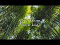 CeCe Winans Never Lost Lyrics