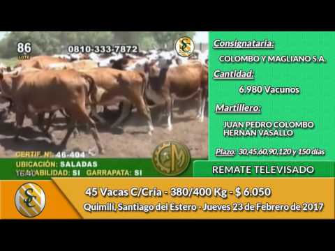 23-02-17 - Venta de Vientres - Remate Televisado de Colombo y Magliano S.A.
