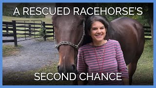 Rescued Racehorse Runs Into His New Guardian's Heart