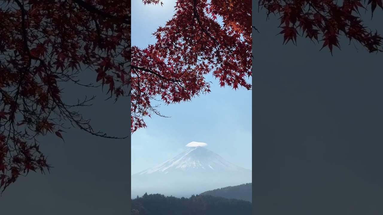 YouTube Short thumbnail