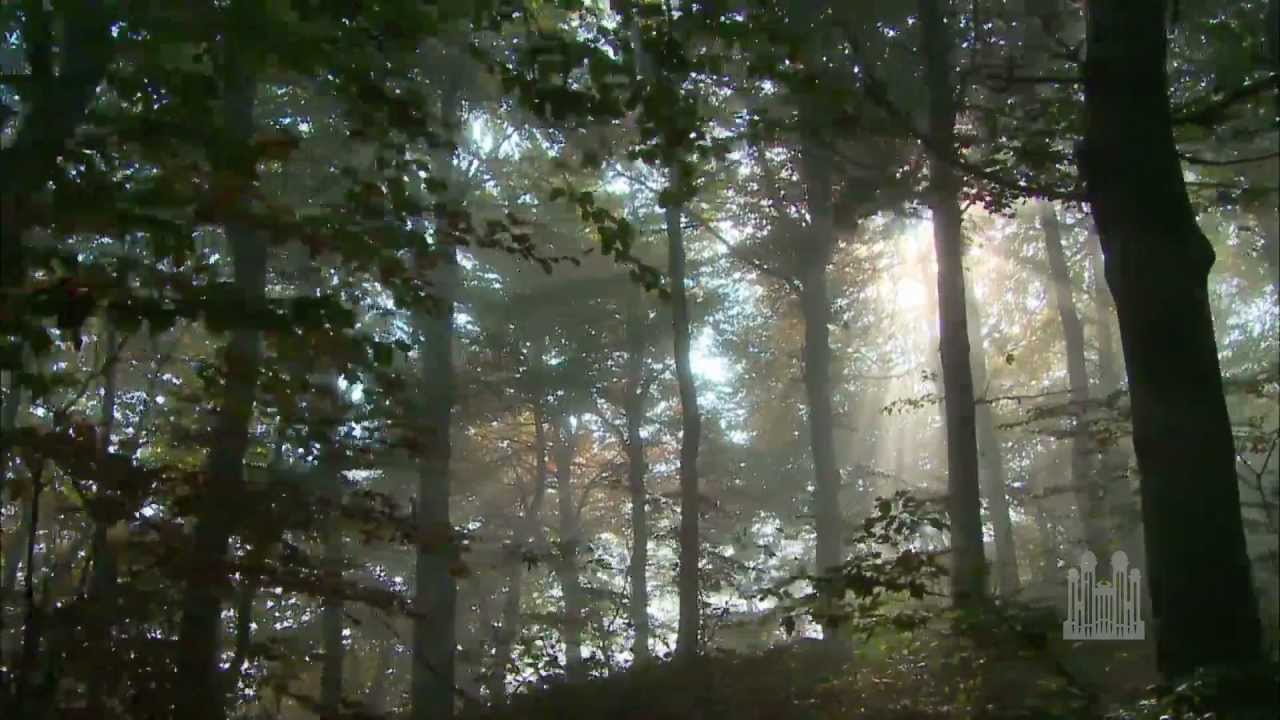 Mormon Tabernacle Choir Lead, Kindly Light Bedeutung MusikGuru