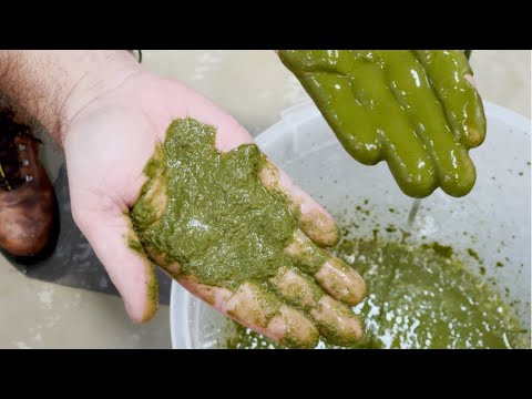 DCD Cannabis Extraction